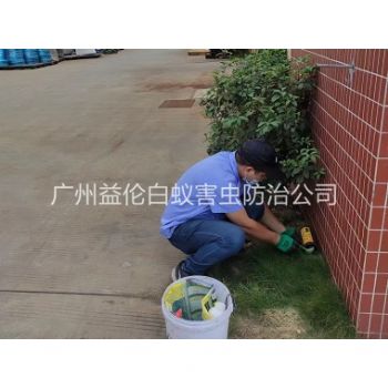 东环布放灭鼠屋工程