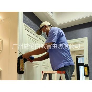 市桥住宅白蚁防治工程