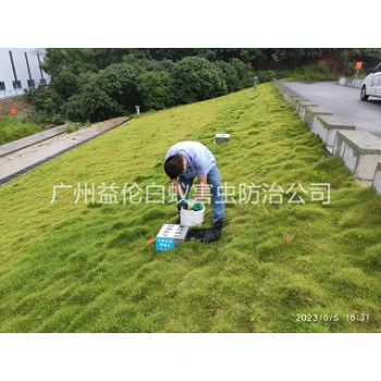 钟村水利堤坝鼠害防控工程