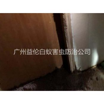 沙头白蚁危害防治工程