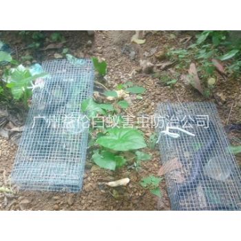 番禺上门驱蛇防蛇工程