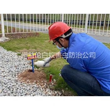 小谷围红火蚁防治工程