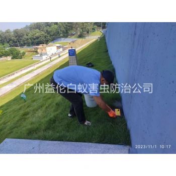 番禺堤坝鼠害防治工程