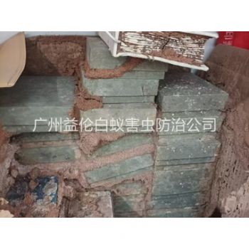 石壁防治白蚁危害工程