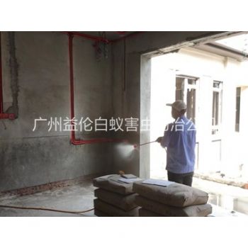 钟村装修预防白蚁工程
