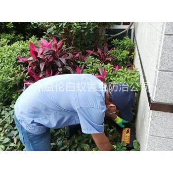 小谷围住宅环境灭鼠工程