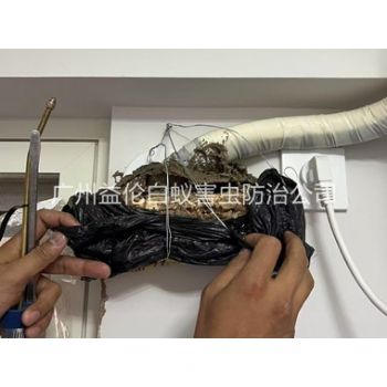 番禺房屋白蚁诱杀工程